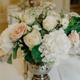 fwthumbgemma white 5.jpg